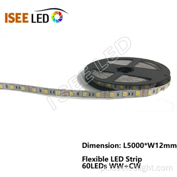 60Leds / m SMD5050 LED Elastyczne oświetlenie pasków
